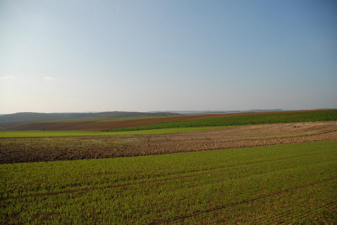 View west / Blick nach Westen