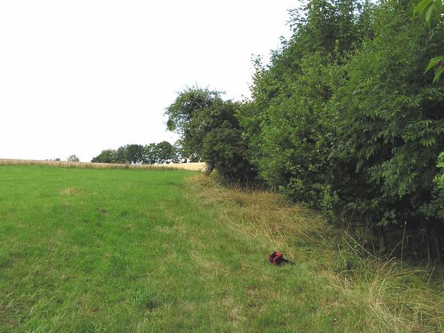 confluence (red bag) looking west