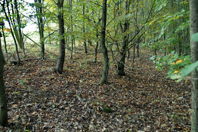 View to the point / Blick zum Confluence Punkt