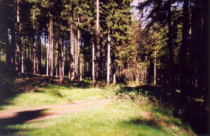 View of the nearby path from the confluence (towards NE)