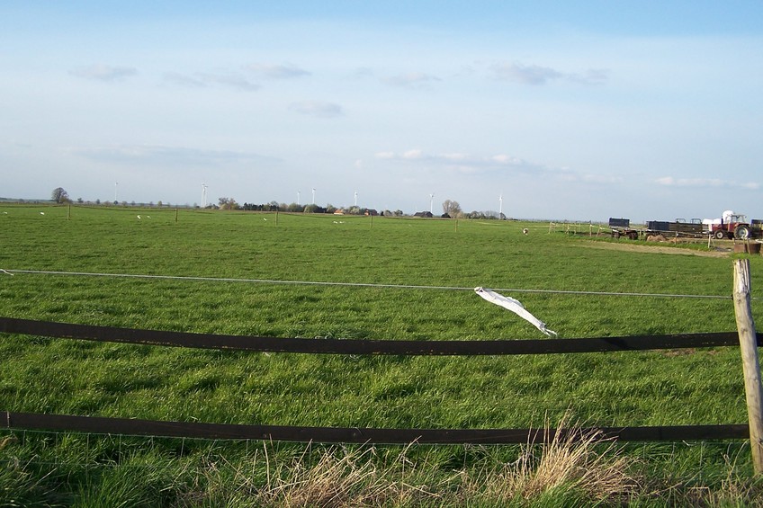 General view of the confluence (towards N)