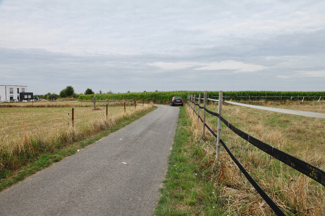 View West, including car.