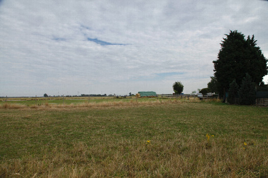 #1: View North. The confluence may be supposed near the left yellow flower.