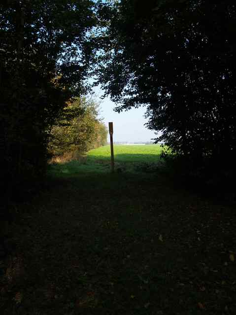 entering the field from about 30m away