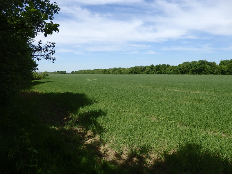 The Confluence from 15 m distance