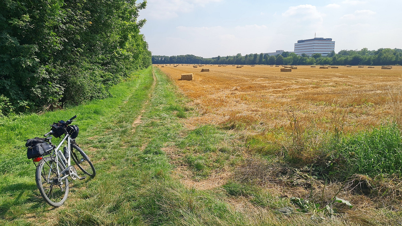 reaching the cornfield with the CP