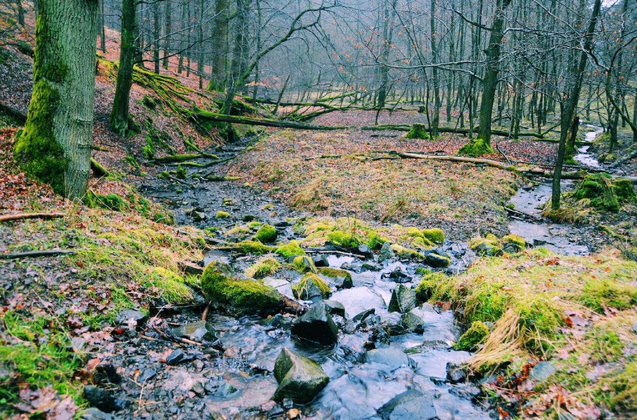 Kleiner Wasserfall