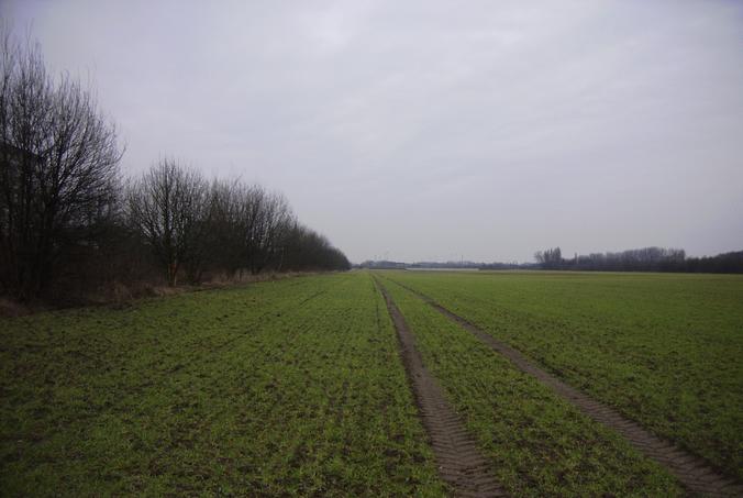 Blick nach Norden / view north