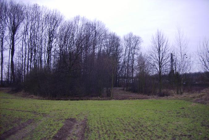 Blick nach Süden / view south