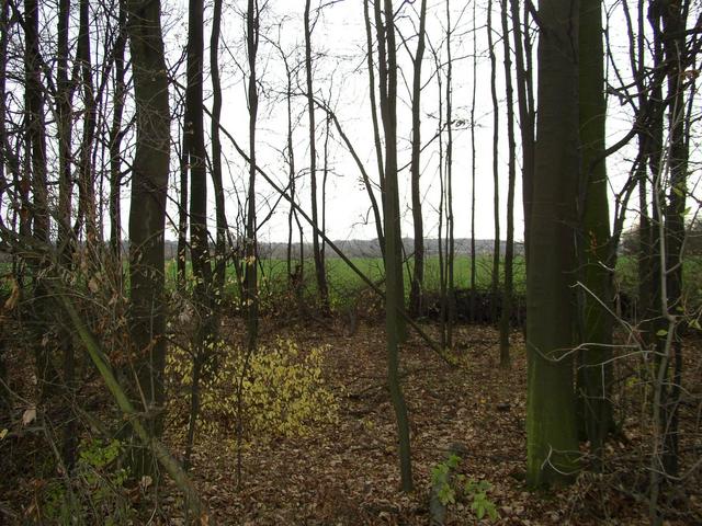 Blick nach Süden - View South