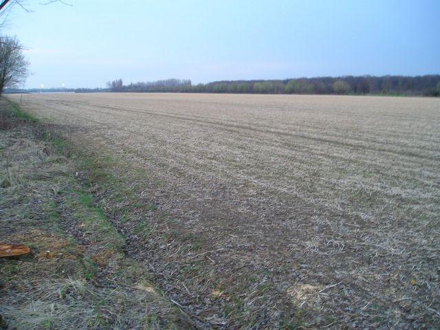 Approaching the confluence