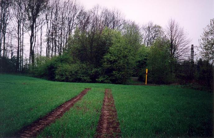 View towards S from the confluence