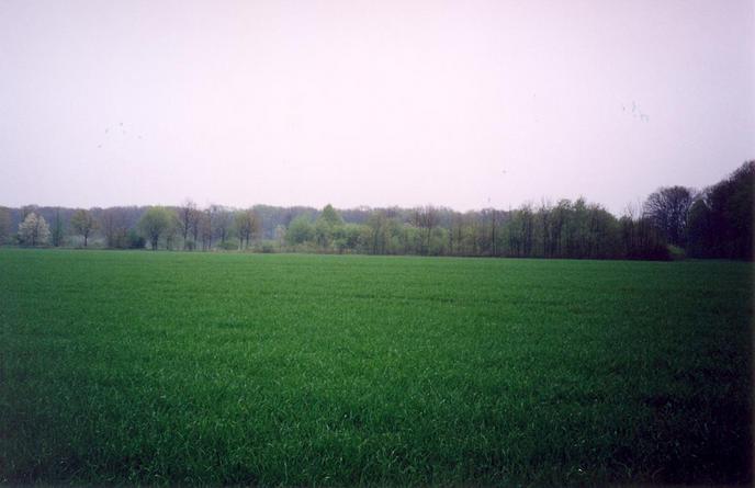 View towards E from the confluence