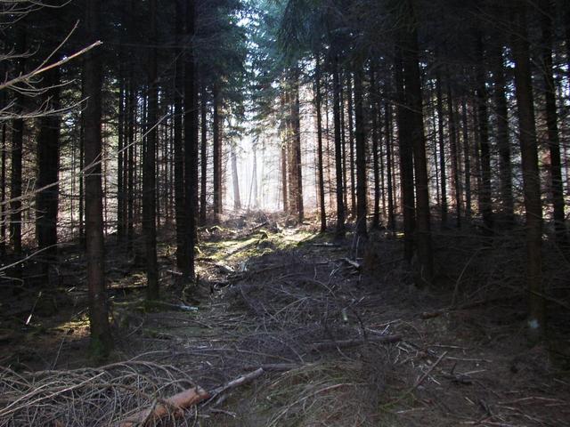 Blick nach Süden / View to the South