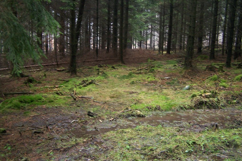 View towards W from the confluence