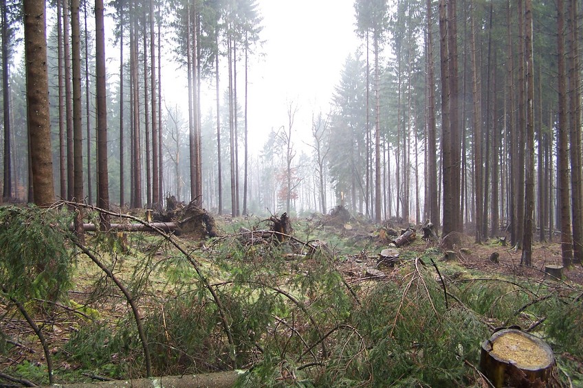 South of the confluence - view towards E