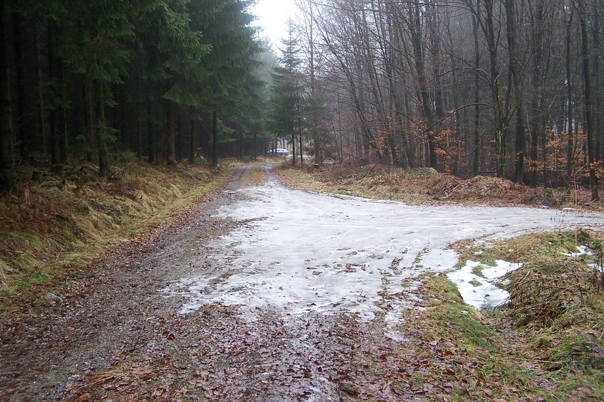 Forest track to the confluence (view towards E)