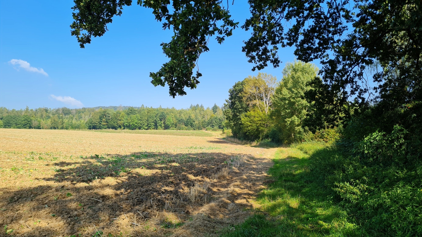 landscape 2 km south of the confluence point