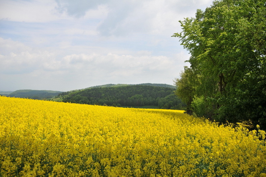 View south / Blick nach Süden