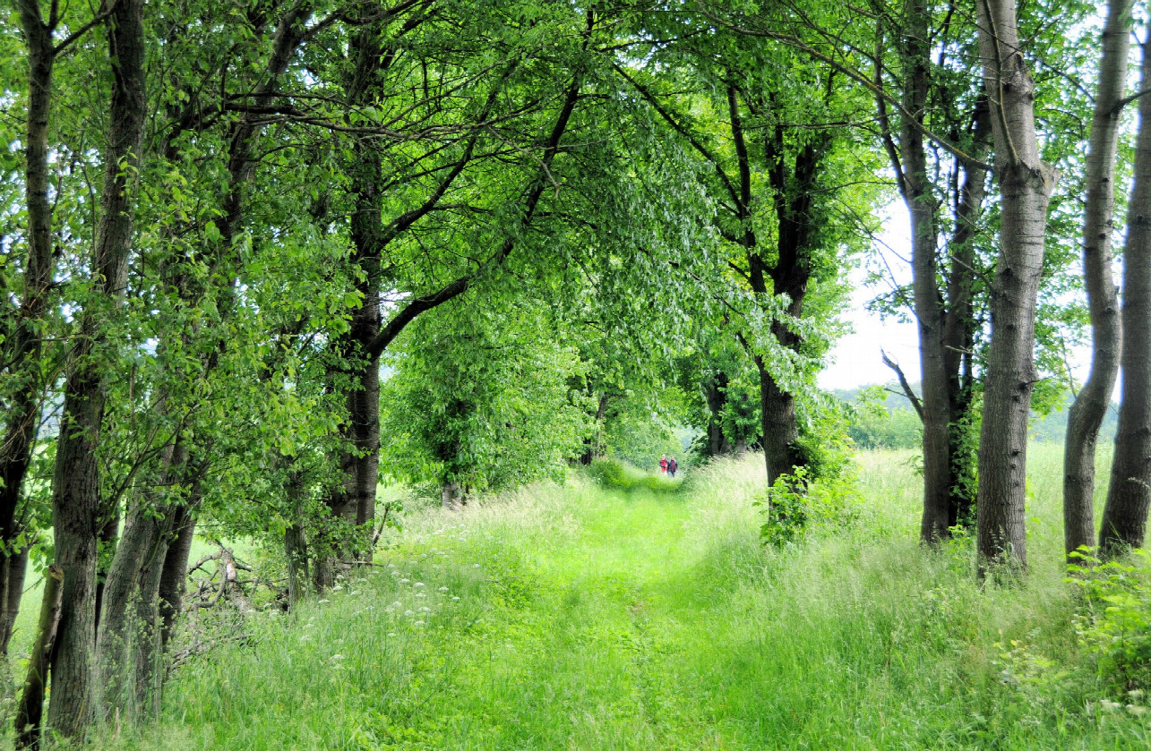 Schöne Wanderwege