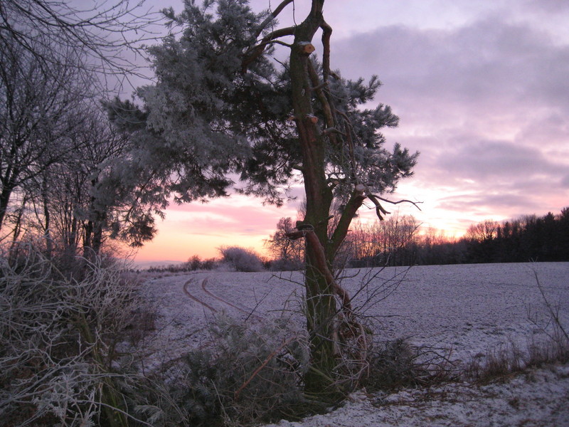 sunset near confluence