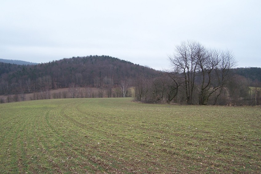 View towards E from the confluence