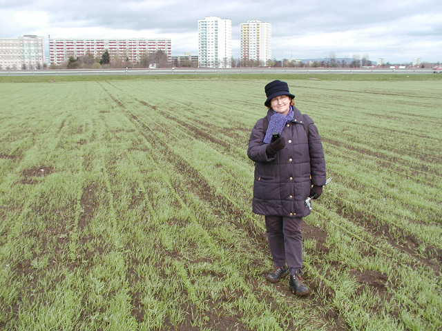 Elisabeth on the confluence point