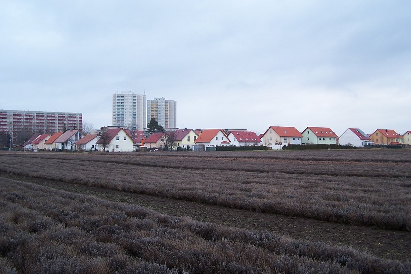 View towards SE from the confluence