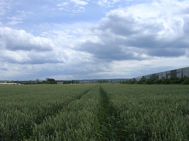 Blick nach Süden / View South