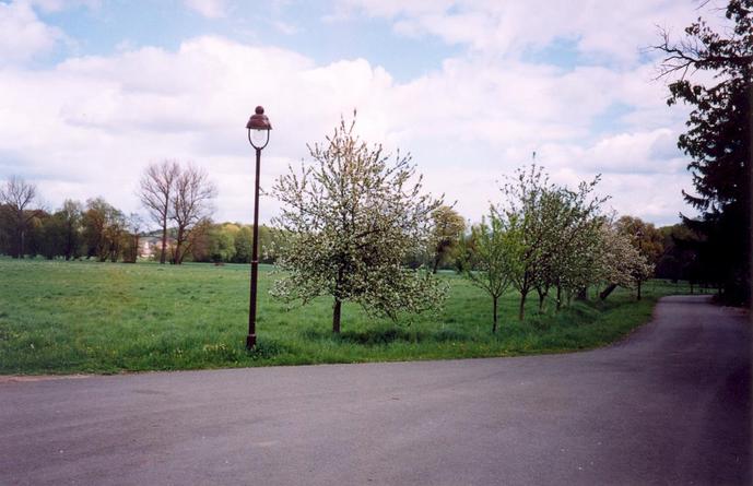 View of the road coming to the confluence (towards E)