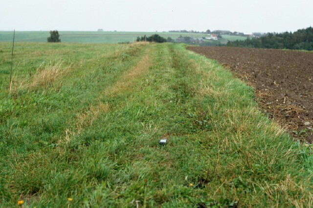 View to north - GPS marks the spot