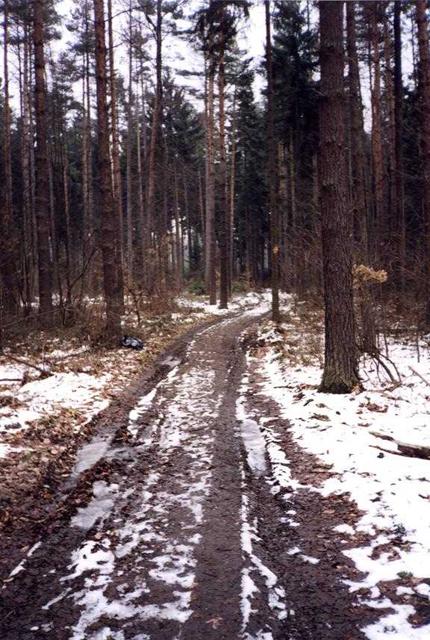 The Confluence Point (near the bag)