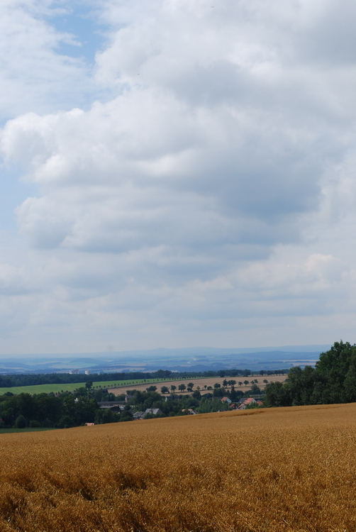 Fields at the Malerweg