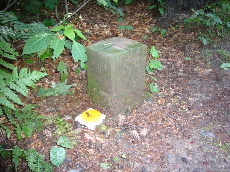 Marker Stone