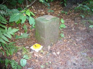 #1: Marker Stone