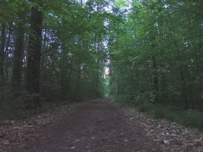 The Confluence from 15 m distance