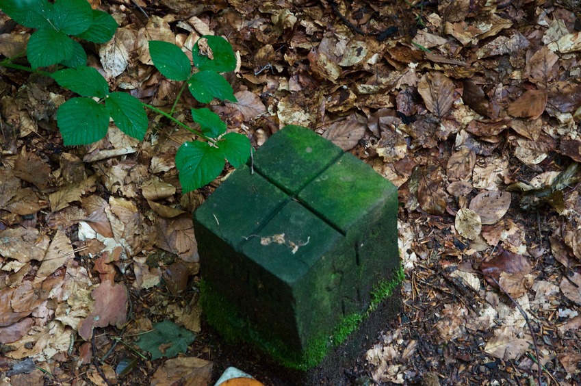 The confluence point is marked by this post, just beside a hiking path