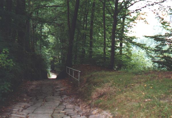 Steep way through the "Lohmen Klamm"