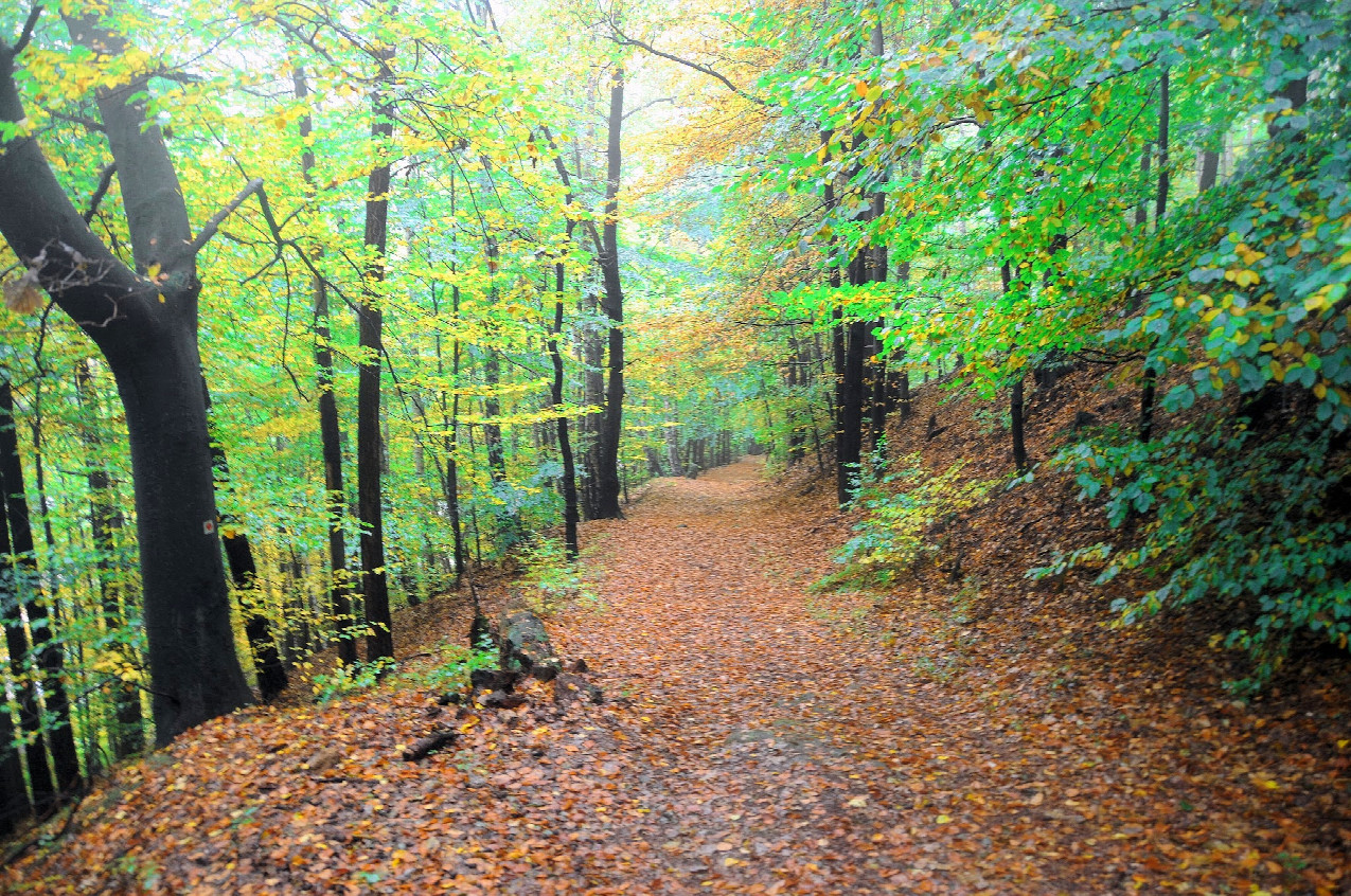 Schöner Fernwanderweg