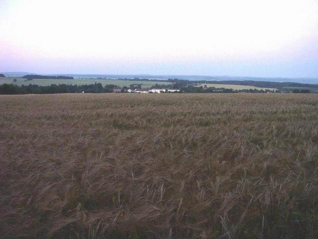 View south from near the CP