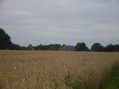 #7: Farms in Estern