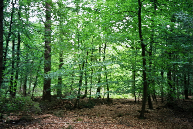 View towards E from the confluence