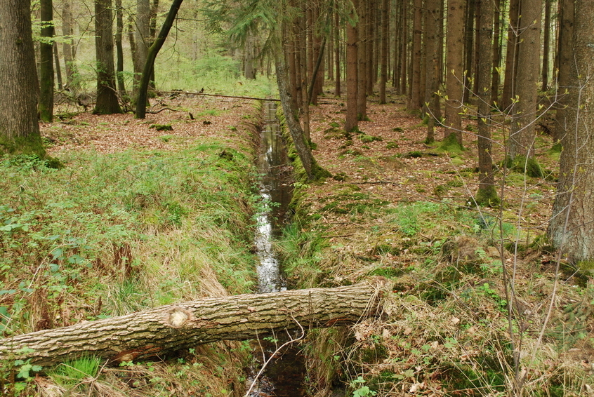 Trench nearby the CP