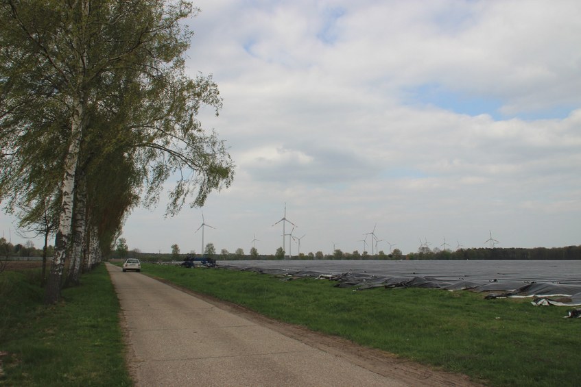 The confluence site, looking north