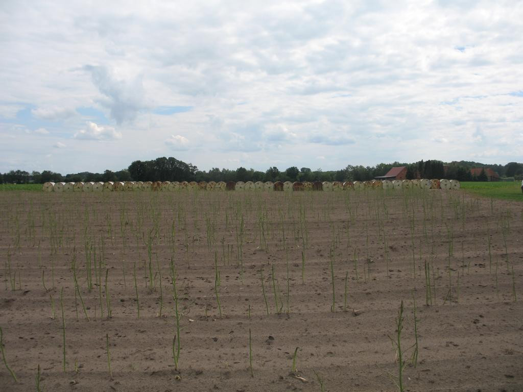 Süden; view south