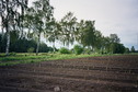 #4: View towards NW from the confluence