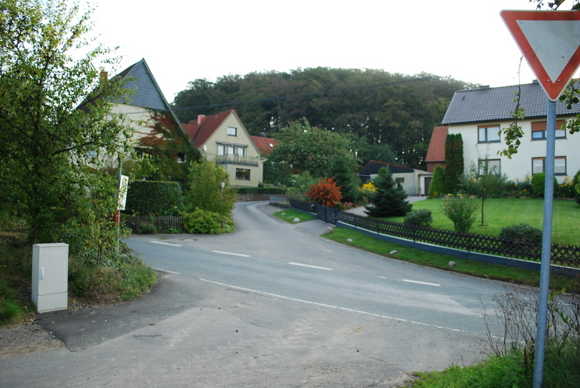 Junction up to the CP - direction trees