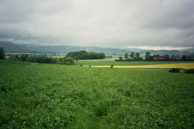 General view of the confluence (towards NW)