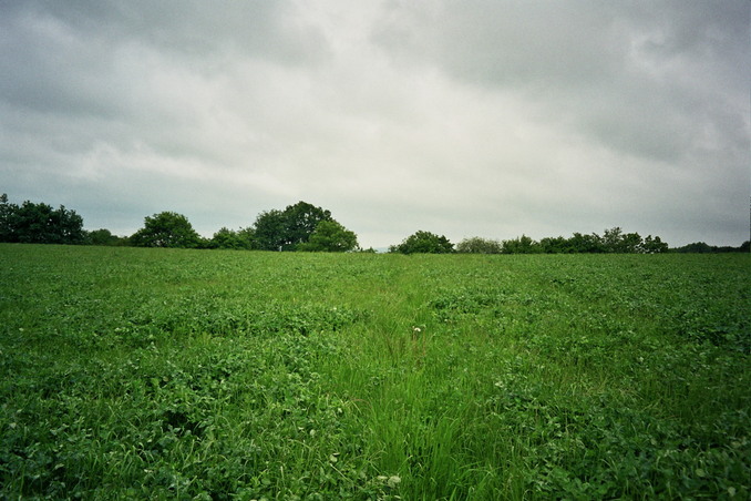 View towards SE from the confluence