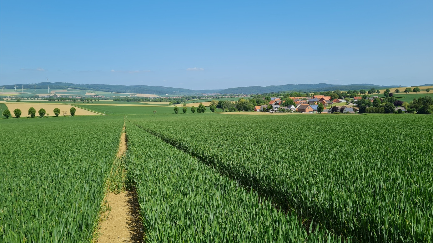 View to the North